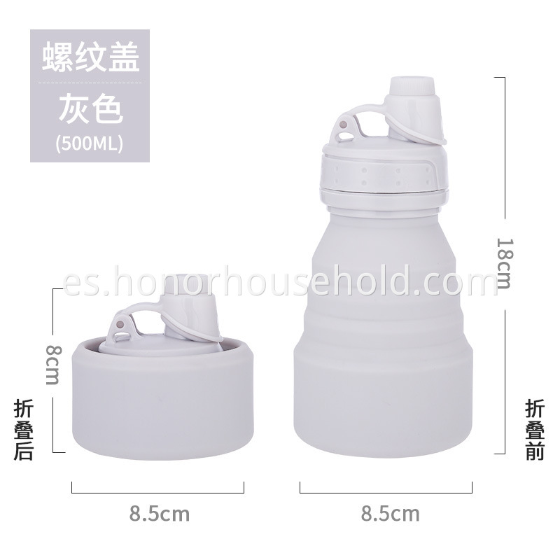 H06 bottle (1)